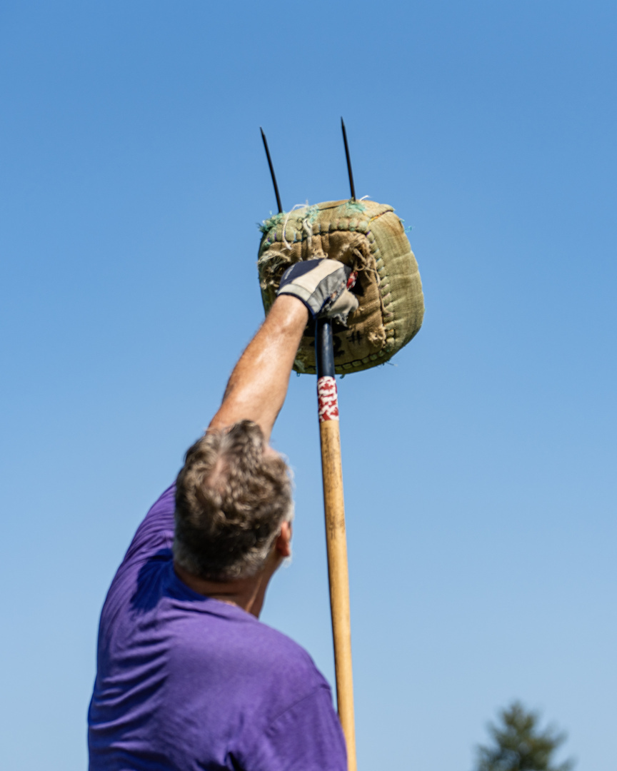 24th Niagara Celtic Heritage Festival & Highland Games - 24th Niagara Celtic Heritage Festival & Highland Games