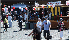 60th Annual Japanese Festival 2025 - 60th Annual Japanese Festival 2025