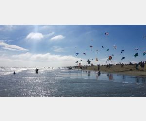 38th Annual Carolina Kite Festival