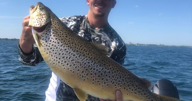 The 51st Annual Michigan Brown Trout Festival