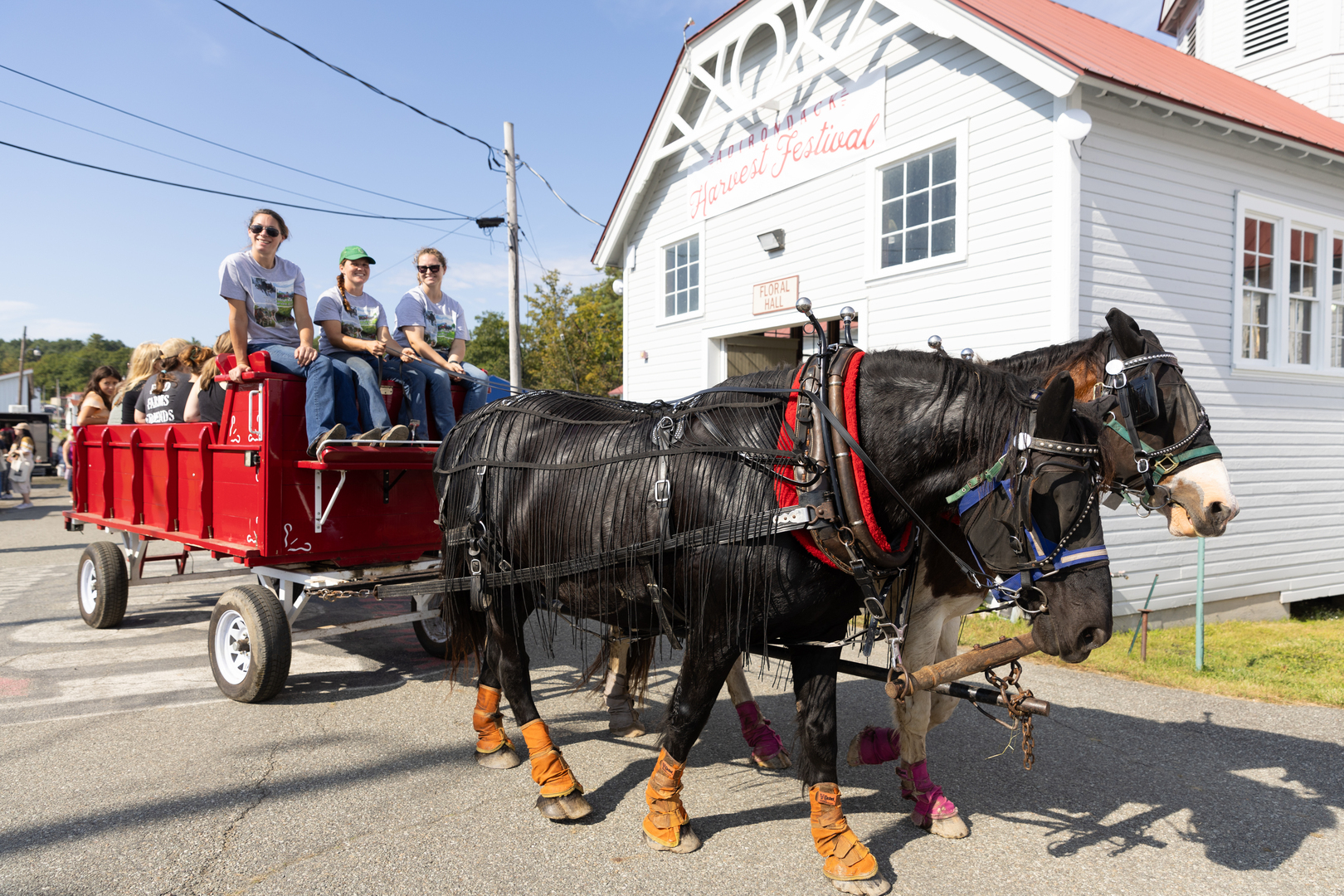 Adirondack Harvest Festival - Adirondack Harvest Festival