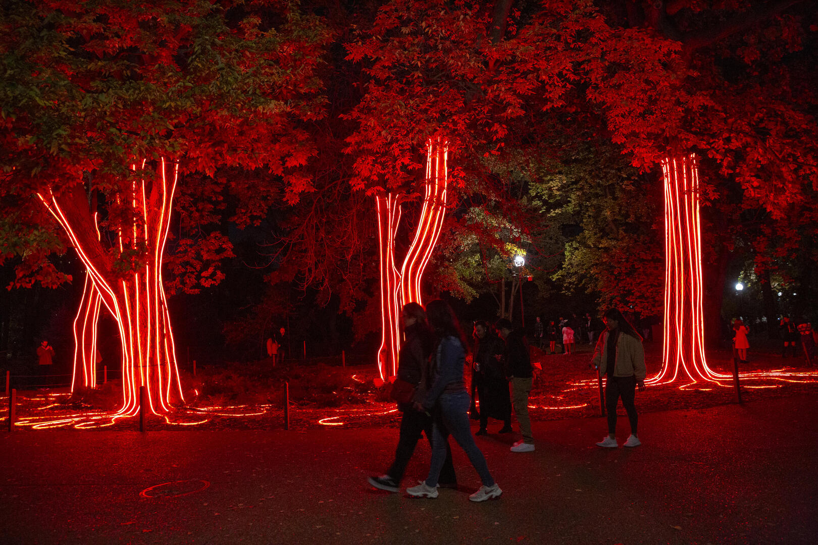 Adults Night Out: Howl-o-ween at Lincoln Park Zoo - Adults Night Out: Howl-o-ween at Lincoln Park Zoo