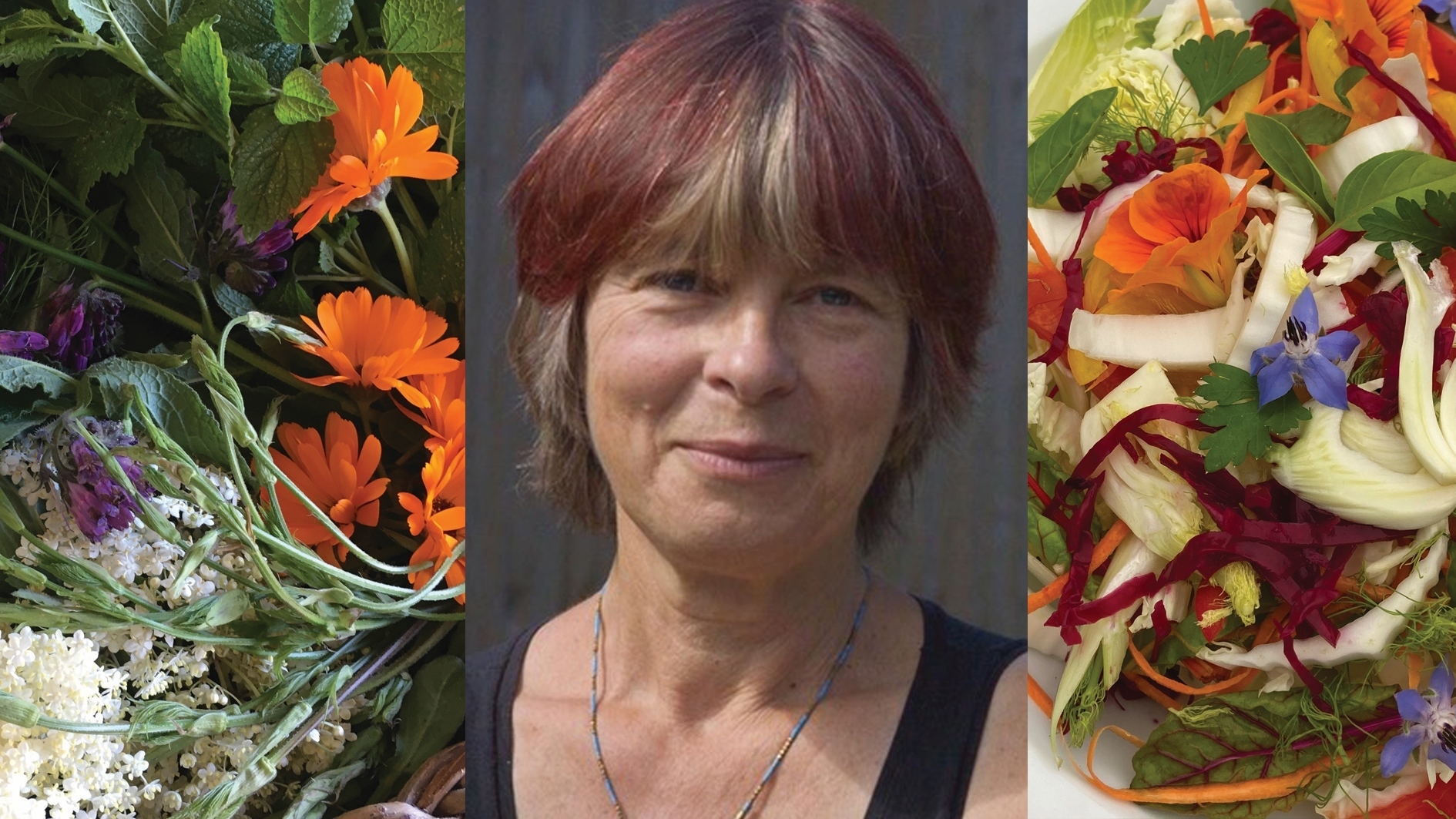 Living food with Daphne Lambert: Hands-on food & nutrition day workshop with lunch