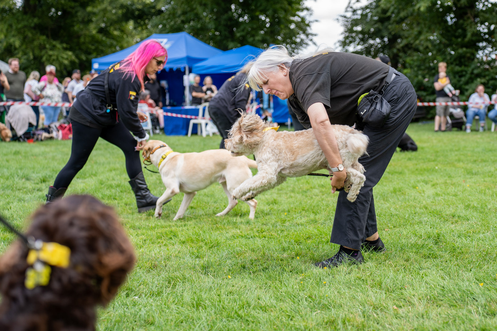 Tower Dog Fête 2025 - Tower Dog Fête 2025