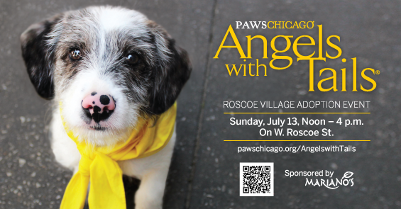 Angels with Tails Roscoe Village