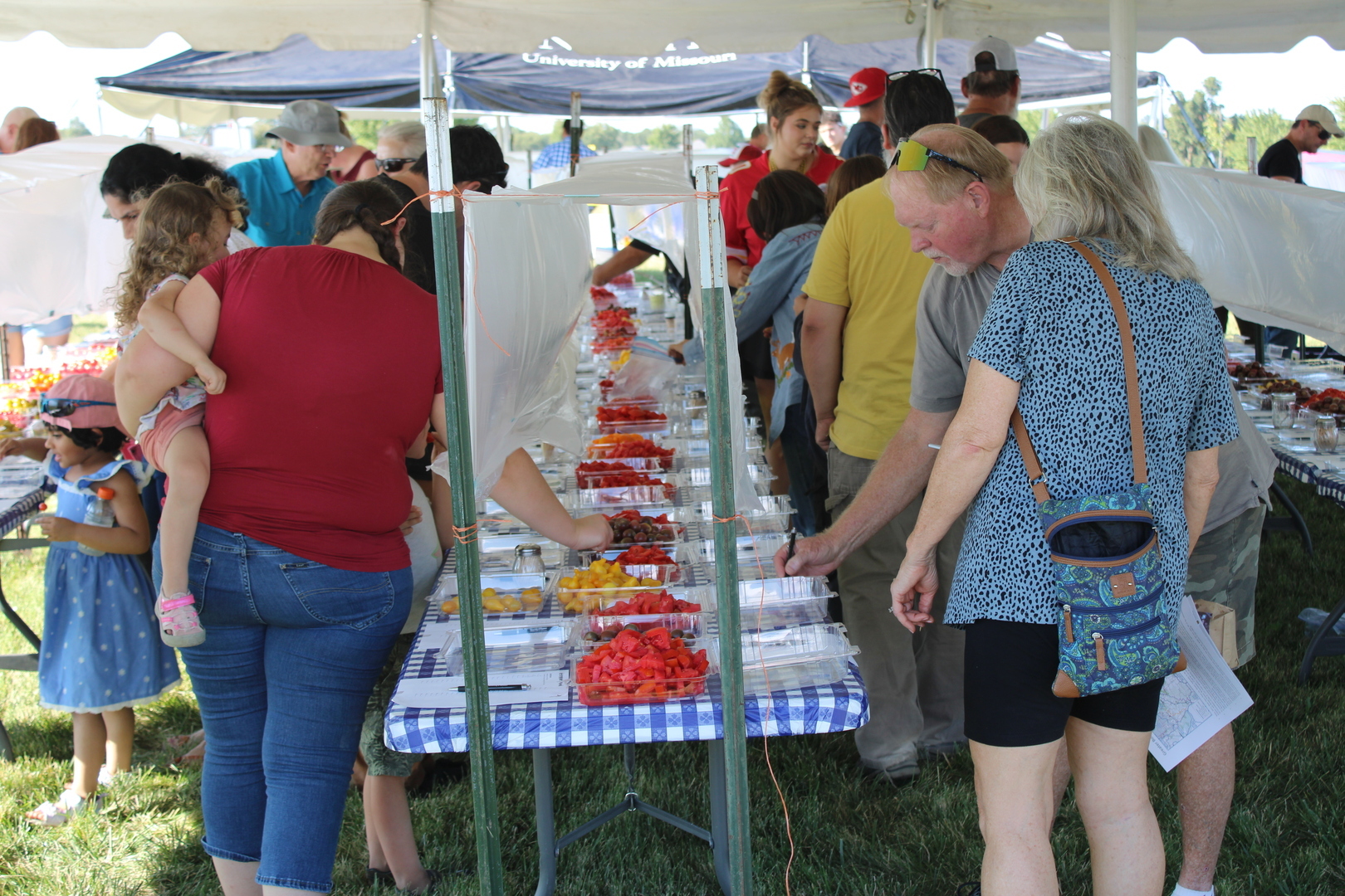 Tomato Festival