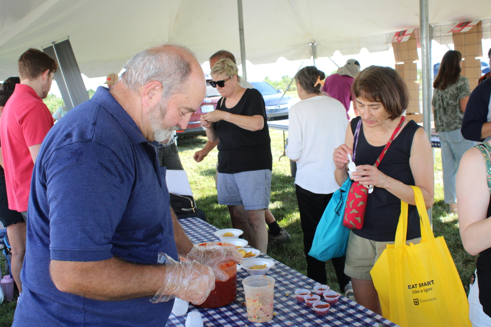 Tomato Festival - Tomato Festival
