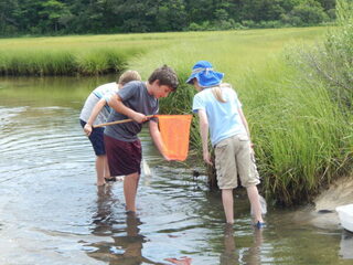 Seining in the Bay
