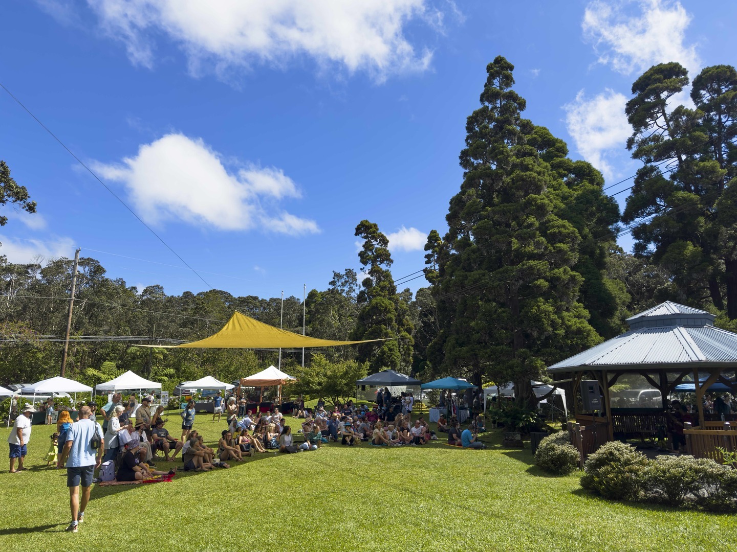 6th Annual Experience Volcano Festival