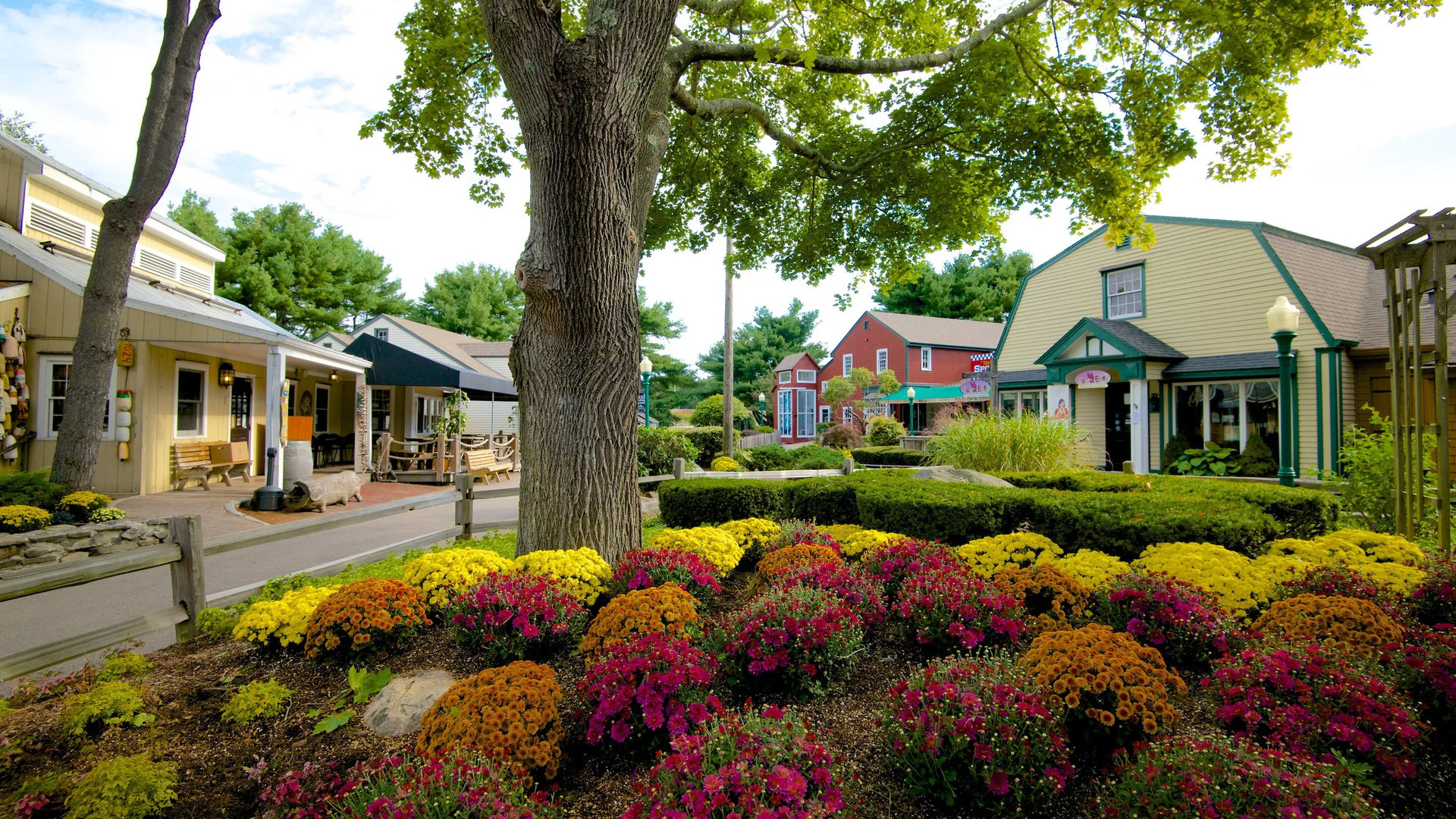 Art in the Village