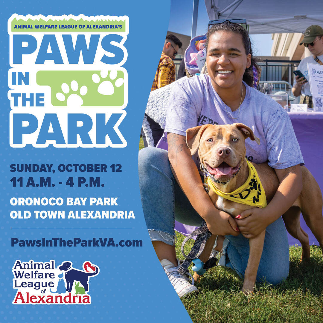 Paws in the Park