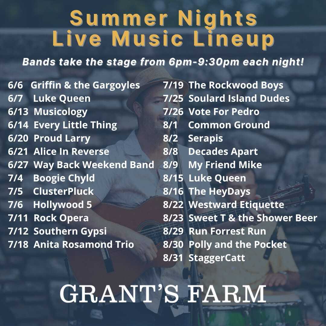 Summer Nights (Live Band and Drone Show) 2025 - Summer Nights (Live Band and Drone Show) 2025