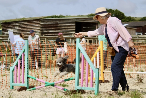 Country Dog Show Dorset Echo Events