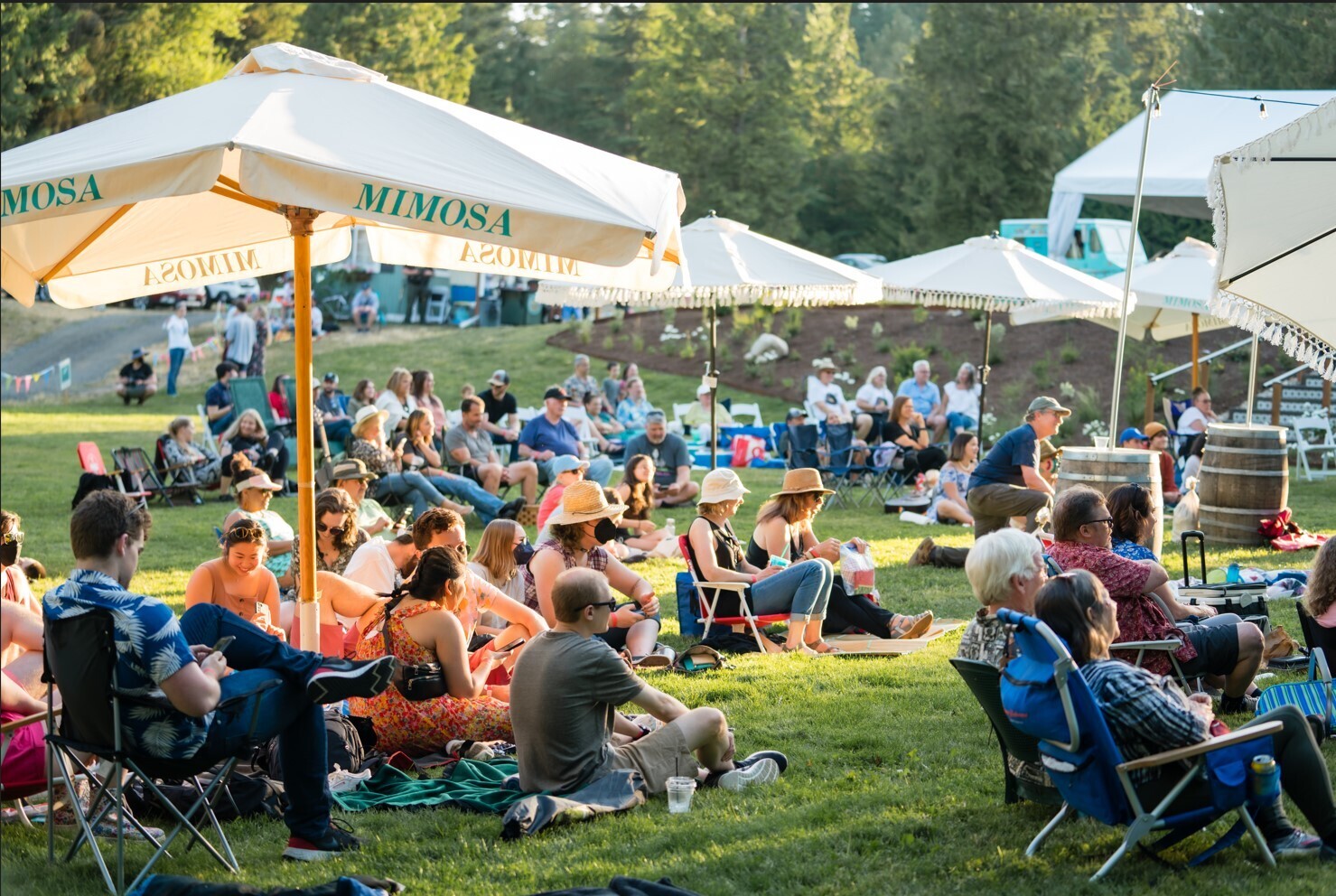 2025 Redfellow Music Festival - 2025 Redfellow Music Festival