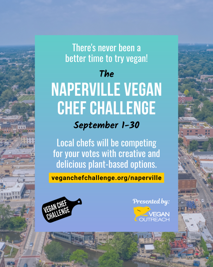 Naperville Vegan Chef Challenge