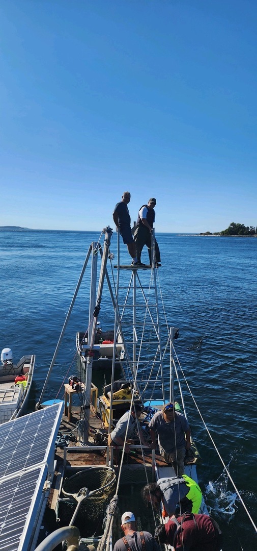 9th Annual Reefnet Festival, Lummi Island, WA., August 16th, 2025 - 9th Annual Reefnet Festival, Lummi Island, WA., August 16th, 2025