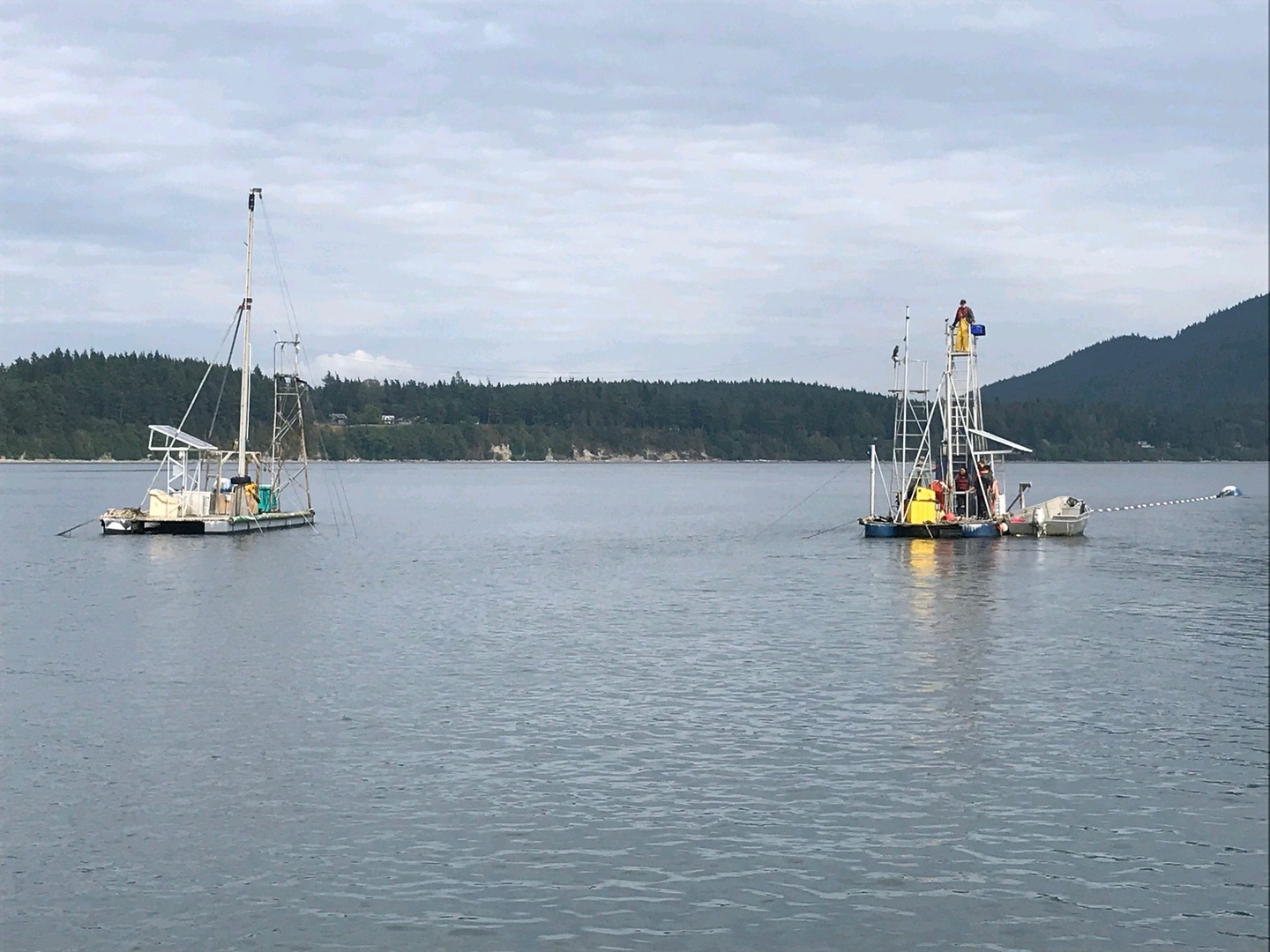 9th Annual Reefnet Festival, Lummi Island, WA., August 16th, 2025 - 9th Annual Reefnet Festival, Lummi Island, WA., August 16th, 2025