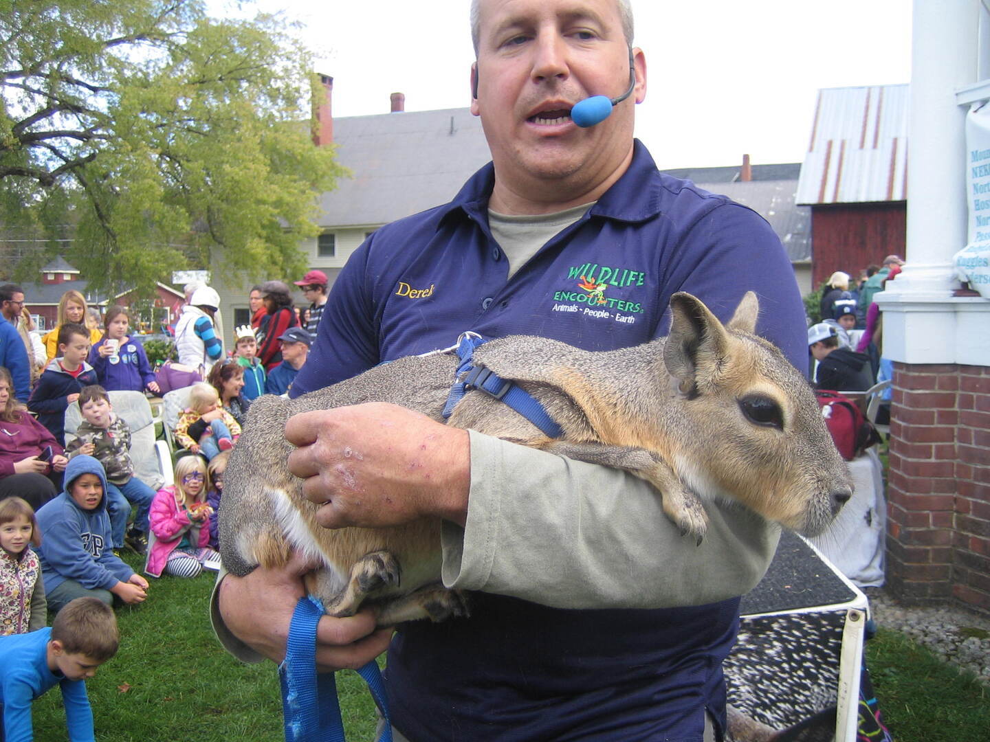 36th Annual Burke Fall Festival - 36th Annual Burke Fall Festival