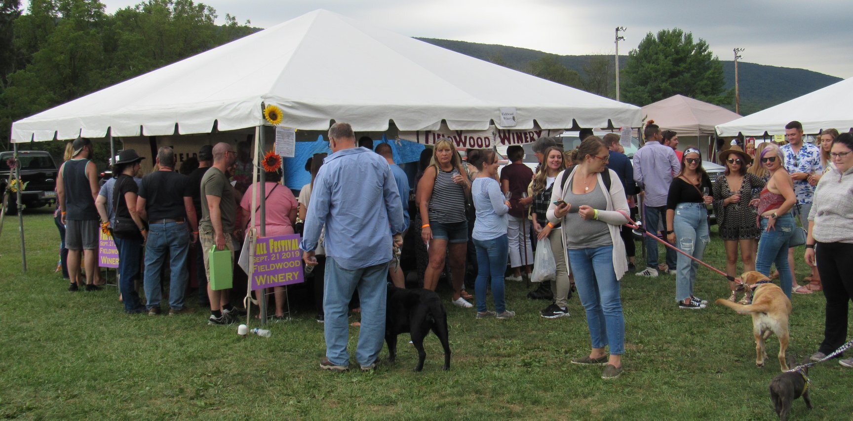 16th Annual Schuylkill County Wine Festival - 16th Annual Schuylkill County Wine Festival