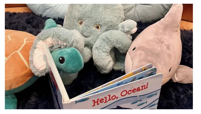 Rhode Island Monthly Events Toddler Time at the Museum – A