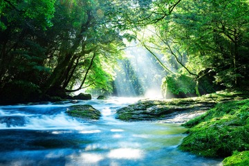 IYASHI ~ 癒し Deep Healing: Guided Meditation & Deep Vibrational Sound Bath