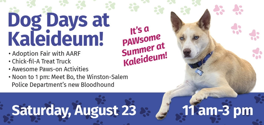 Philippines Dog Adoption Day Near Me Help Clear The Shelters By