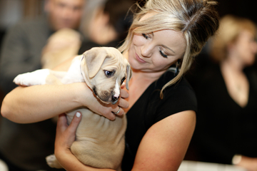 BC SPCA Offleashed Victoria