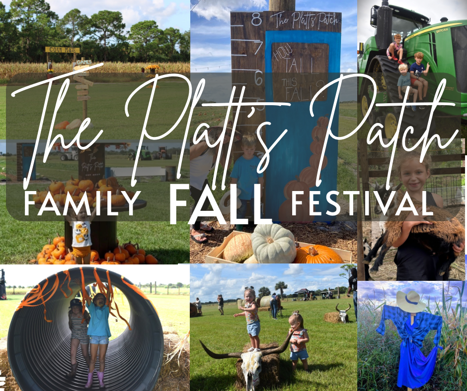 The Platt’s Patch Family Fall Festival - The Platt’s Patch Family Fall Festival