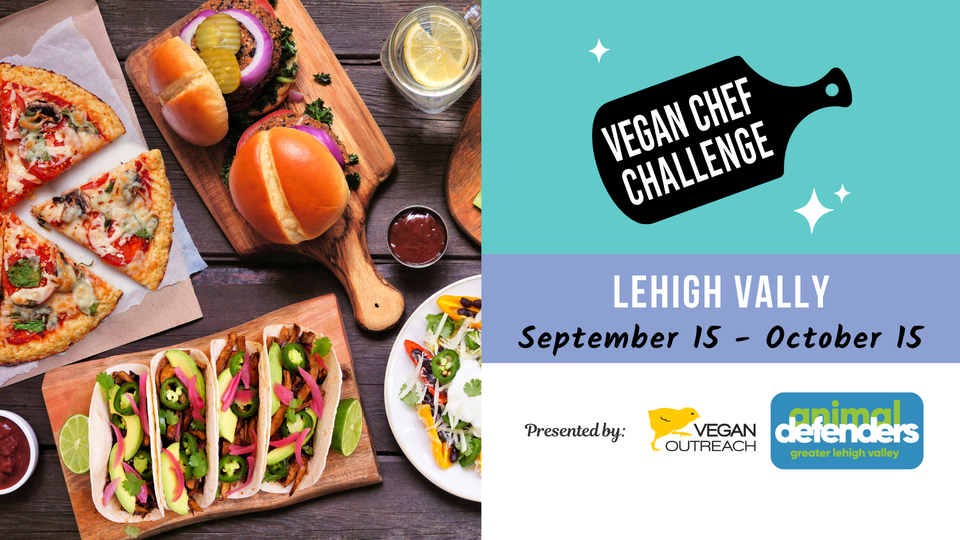 Lehigh Valley Vegan Chef Challenge