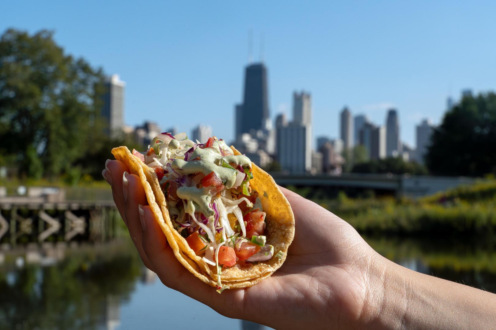 Zoo Fiesta at Lincoln Park Zoo - Zoo Fiesta at Lincoln Park Zoo