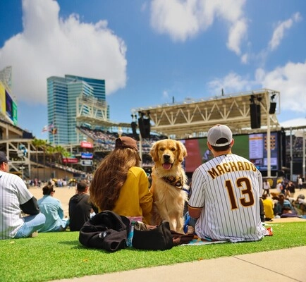Bark at the Big Screen presented by Times of San Diego Events