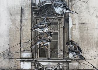 "WINDOWS" New images by Diana Majumdar