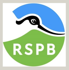Bird watching walk
