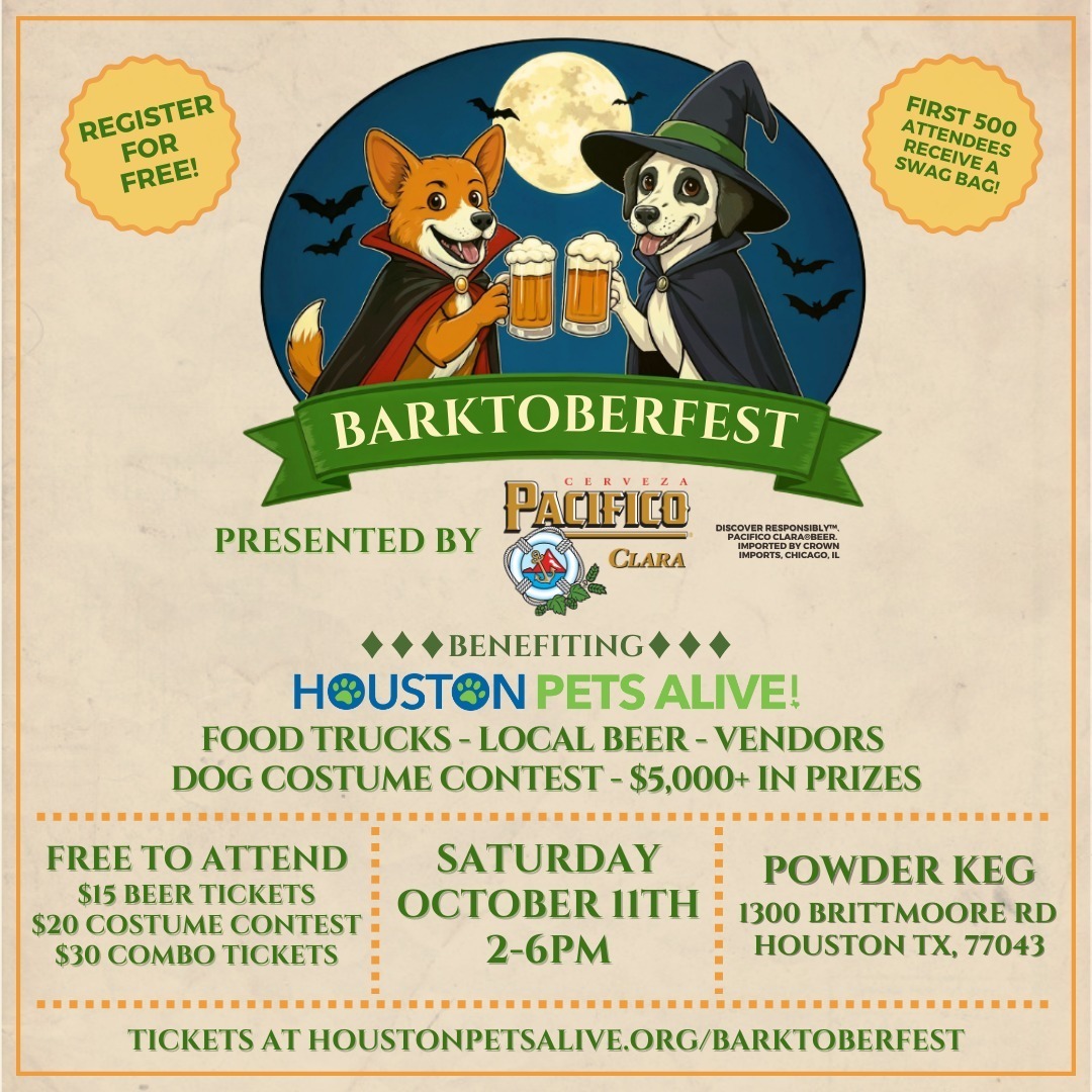 Barktoberfest - Barktoberfest