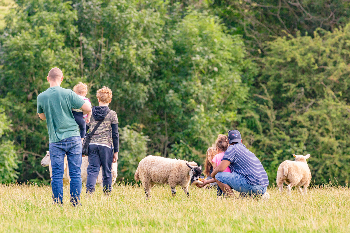 Animal Sanctuary Open Day