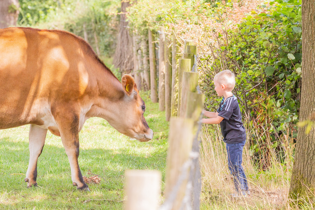 Animal Sanctuary Open Day - Animal Sanctuary Open Day