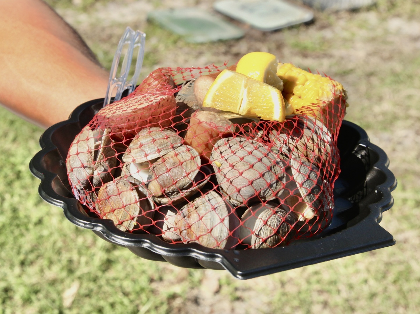 54th Cedar Key Lions Seafood Festival - 54th Cedar Key Lions Seafood Festival