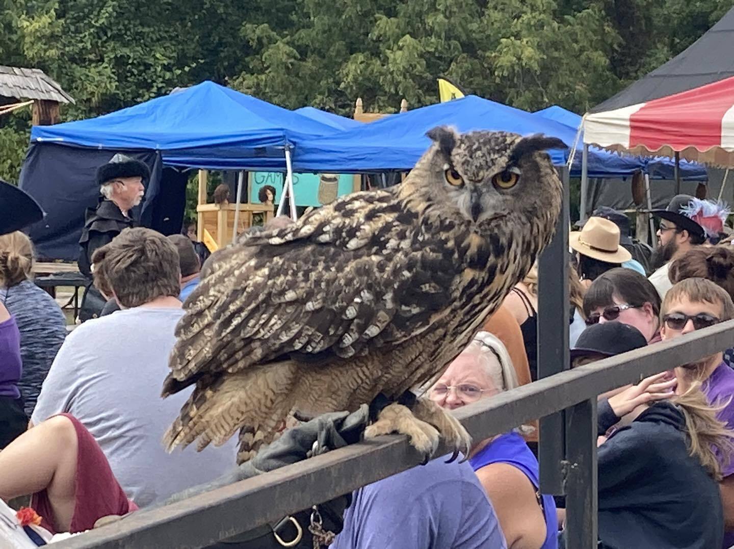 The Renaissance Faire at Sleepy Hollow - The Renaissance Faire at Sleepy Hollow