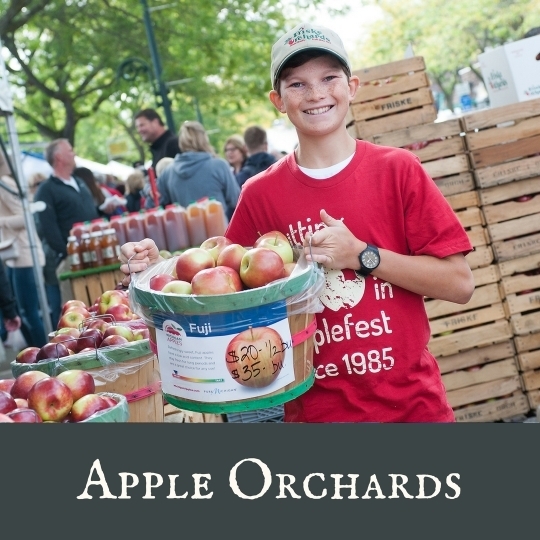 46th ANNUAL APPLE FEST