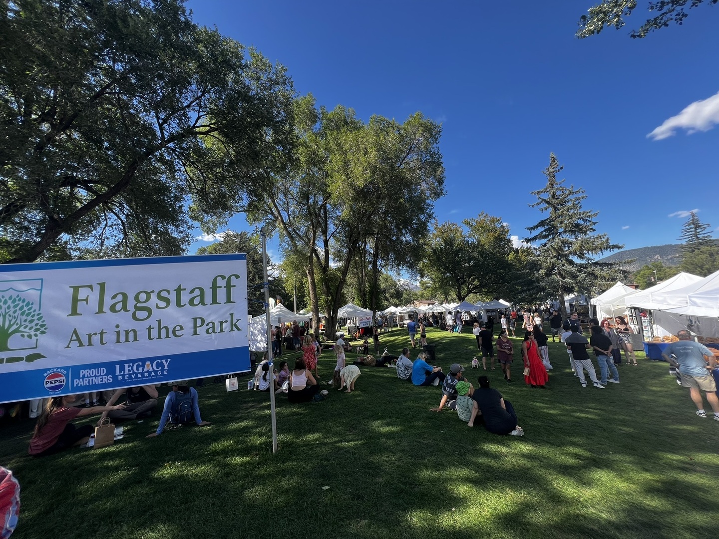 Flagstaff Art in the Park