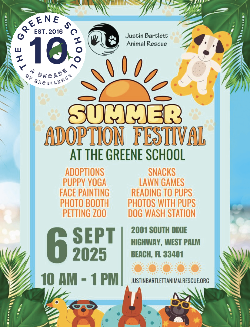 Pet Adoption Festival