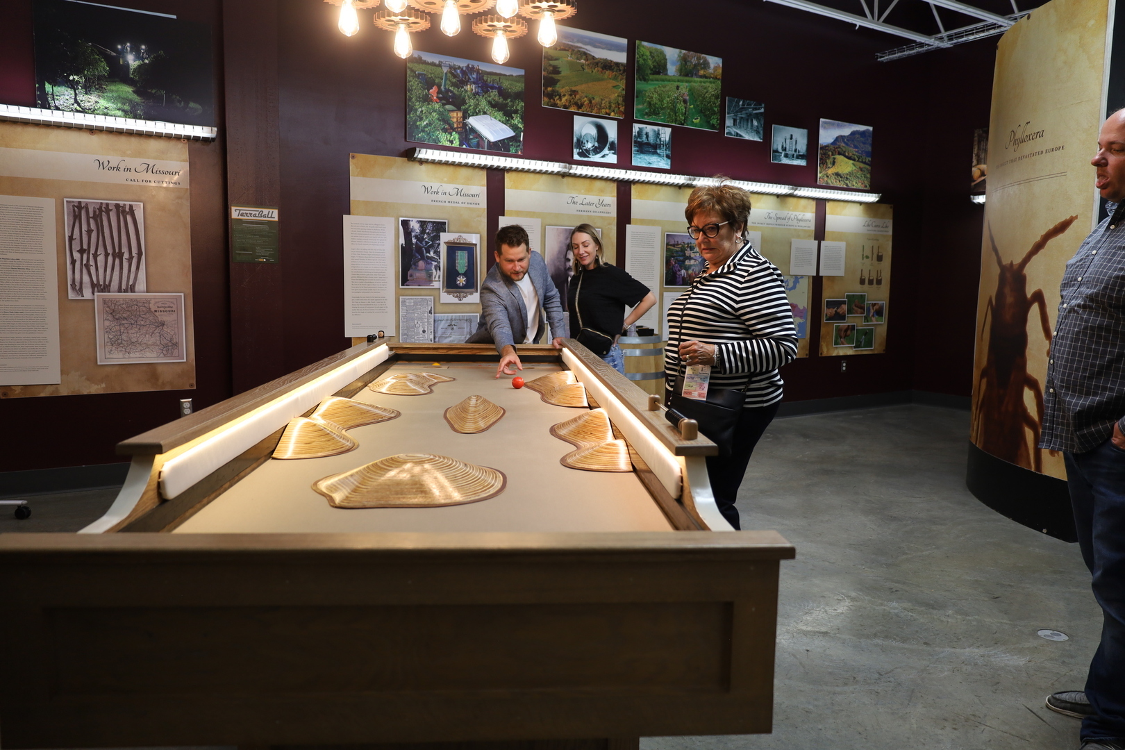 Night at the Museum - Night at the Museum