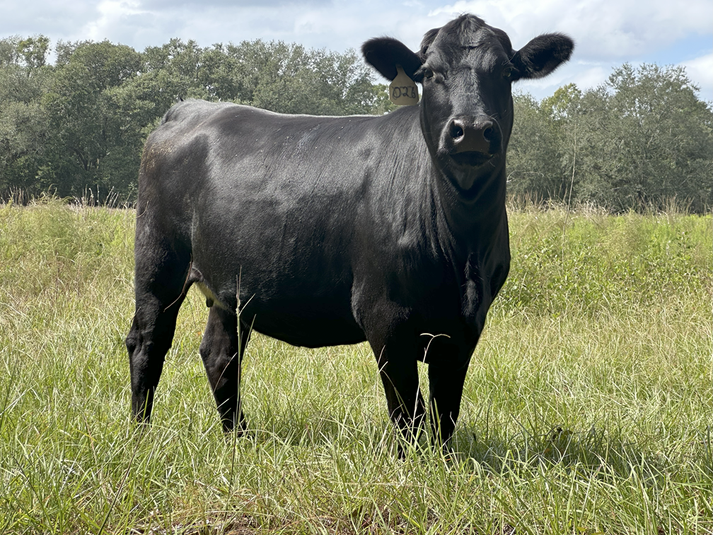 Braze Ranch Fall Festival, Weekends in October | Waldo, FL - Braze Ranch Fall Festival, Weekends in October | Waldo, FL