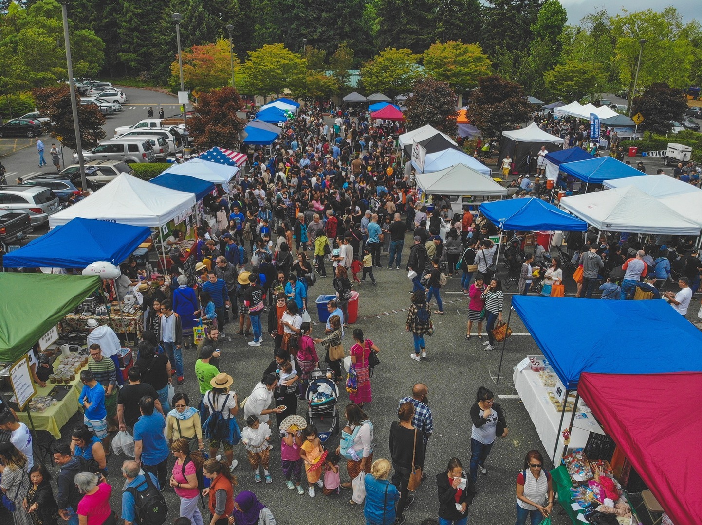 Thai Festival Seattle 2025 - Thai Festival Seattle 2025