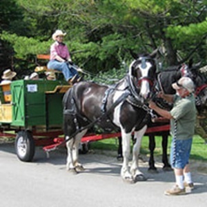 Samels Farm Harvest Gathering