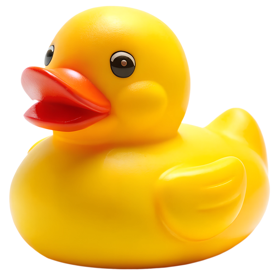 9th Annual Mt. Sunapee Duck Drop