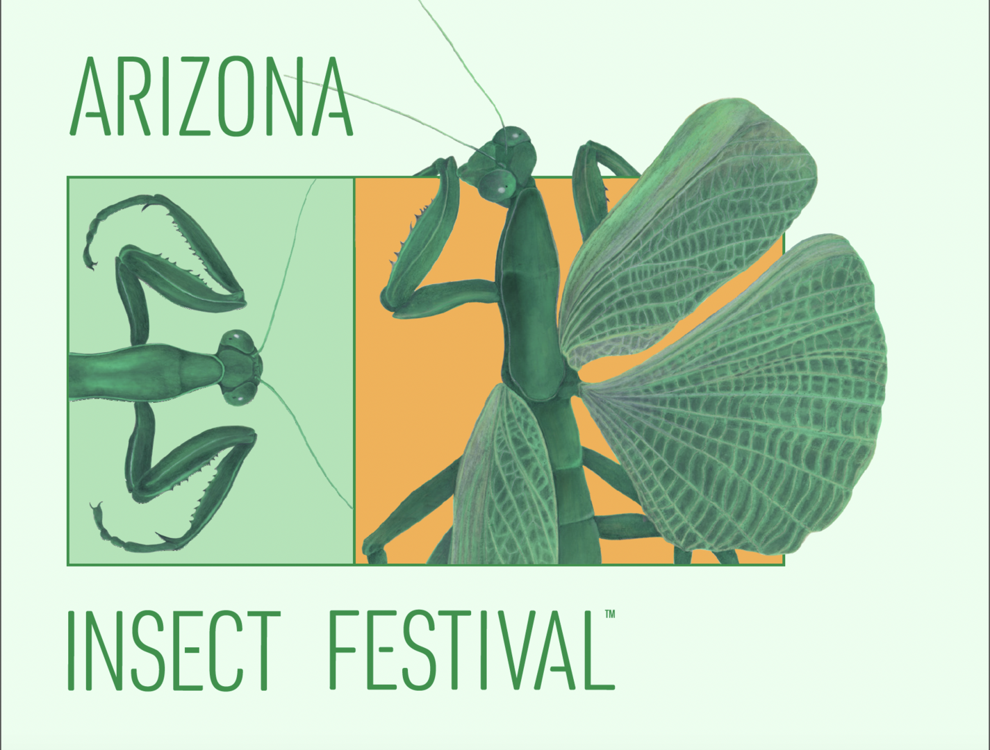 Arizona Insect Festival 2025