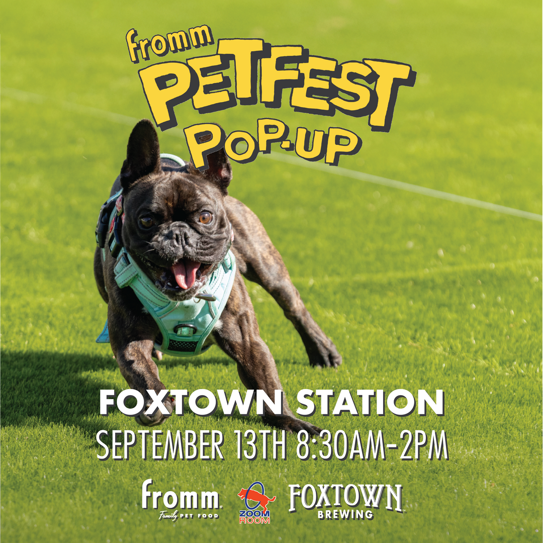 Petfest Pop-Up at Foxtown Station