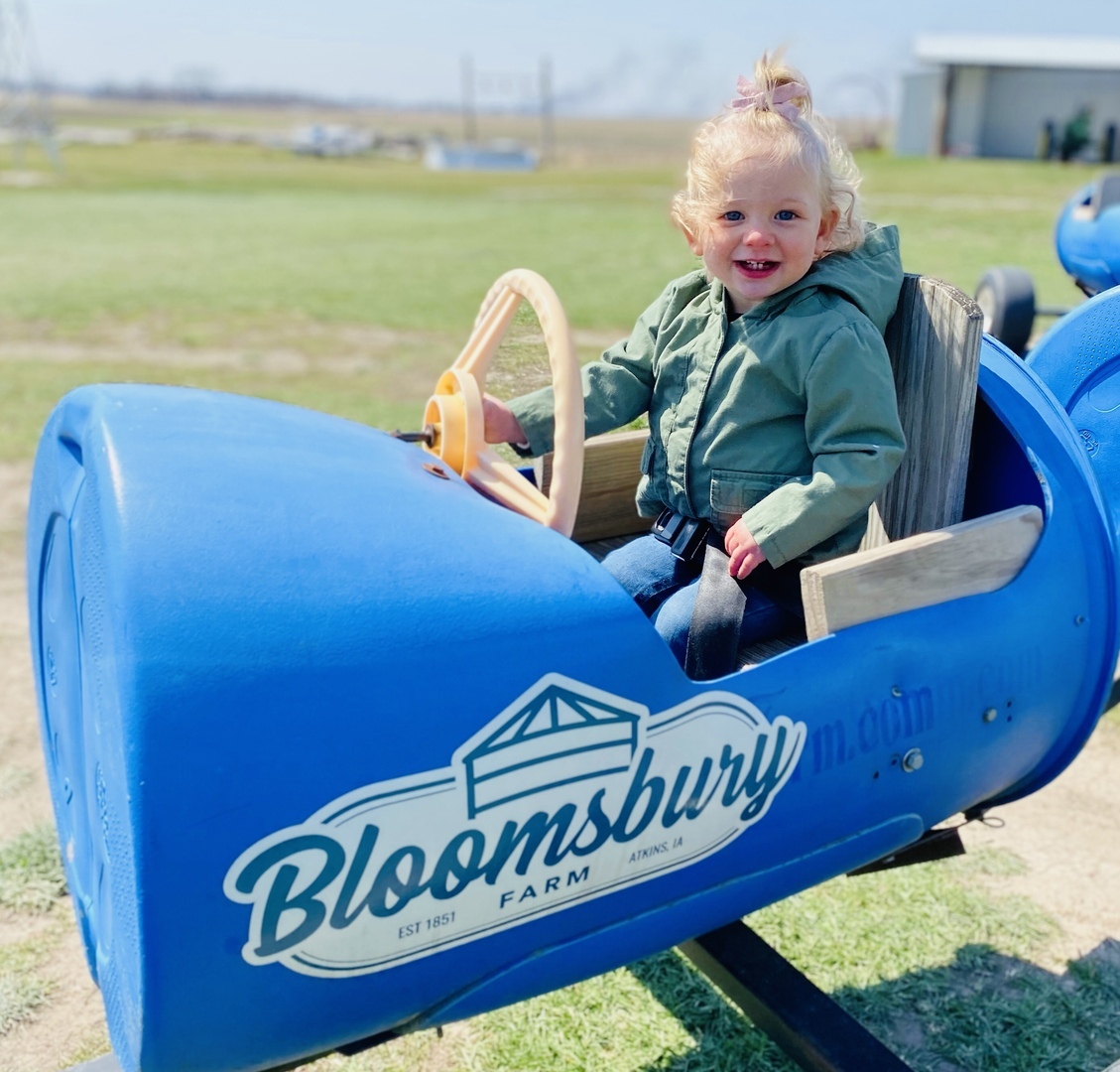 Iowa Fall Festival - Iowa Fall Festival