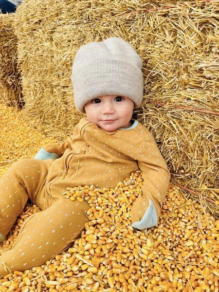 Iowa Fall Festival - Iowa Fall Festival